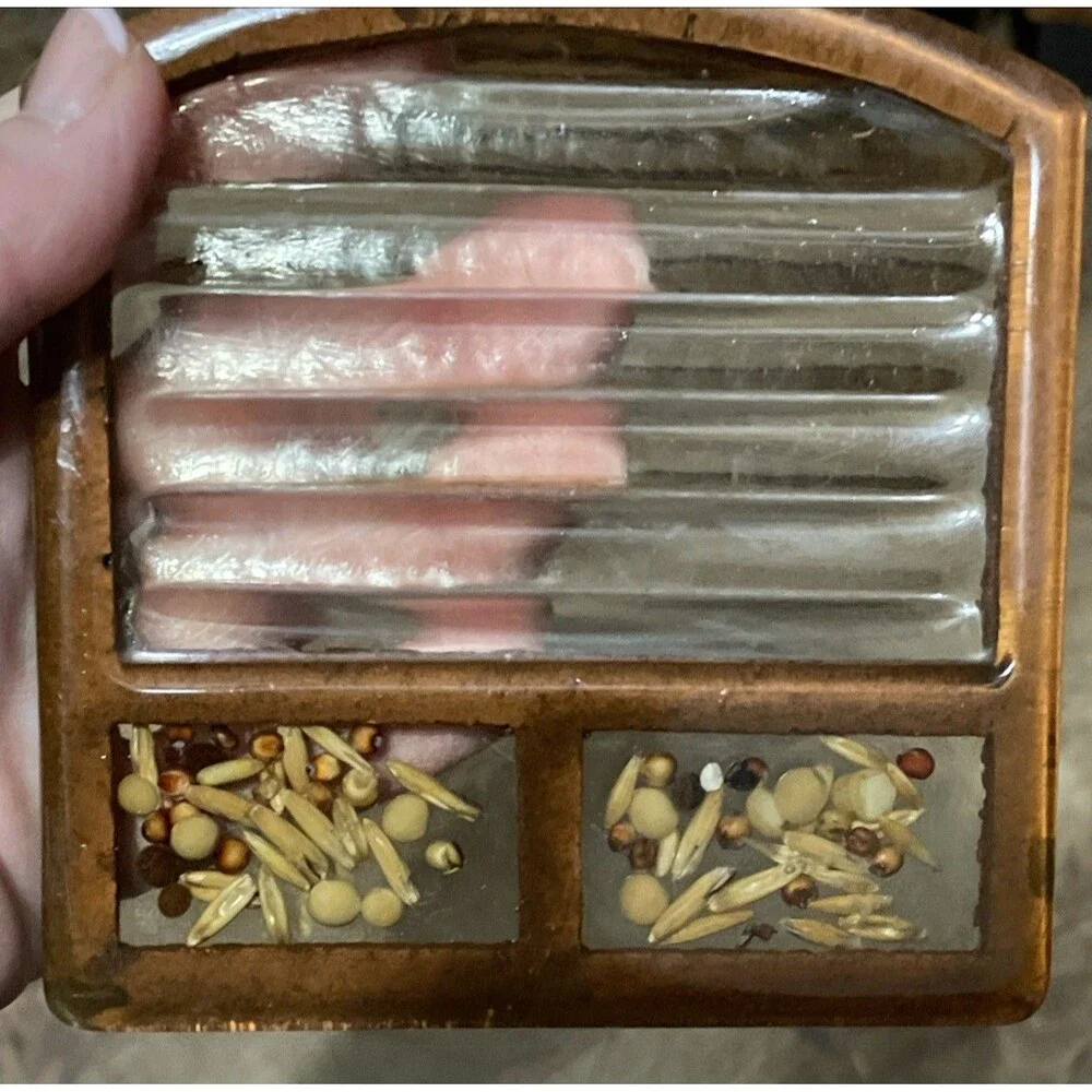 MCM vintage 1960s-1970s resin trivet Soap Dish embedded dried seeds, grains